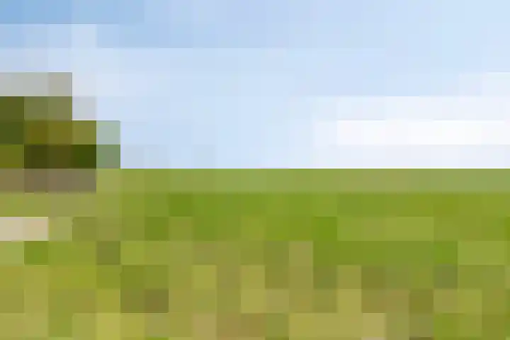 Hoofdweg 35 Burdaard thumbnail 39