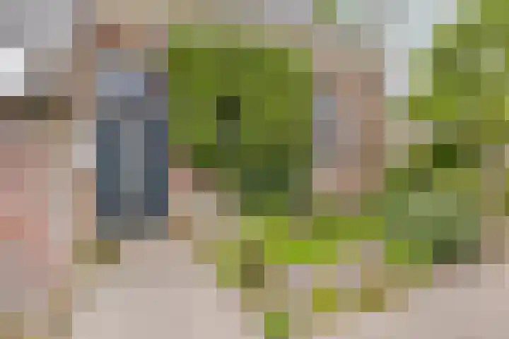 Hoofdweg 35 Burdaard thumbnail 4