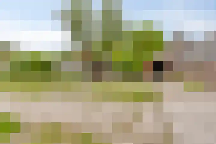 Hoofdweg 35 Burdaard thumbnail 42