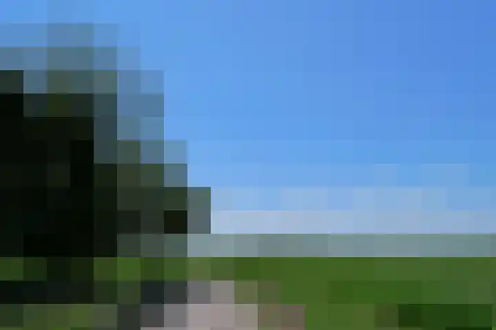 Hoofdweg 35 Burdaard thumbnail 45