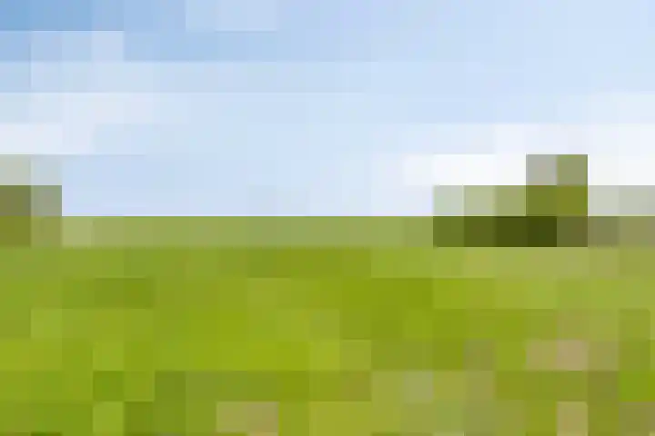 Hoofdweg 35 Burdaard thumbnail 46