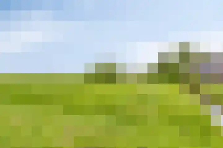 Hoofdweg 35 Burdaard thumbnail 47