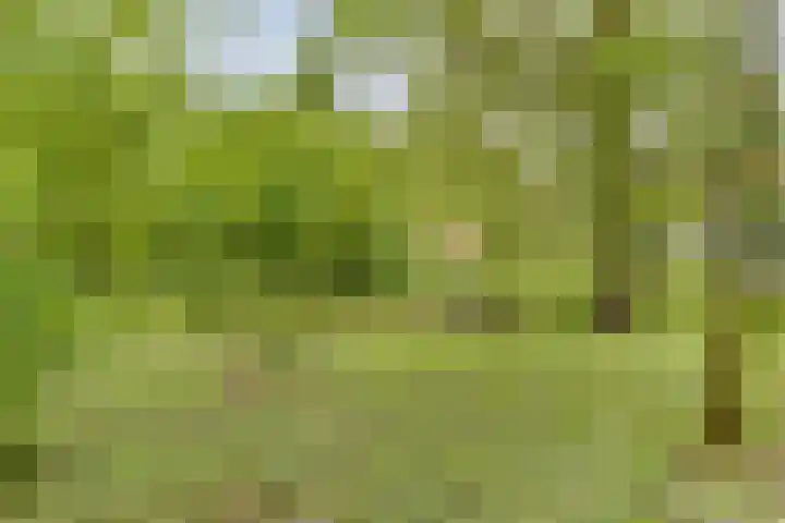 Hoofdweg 35 Burdaard thumbnail 48