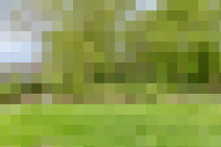 Hoofdweg 35 Burdaard thumbnail 49