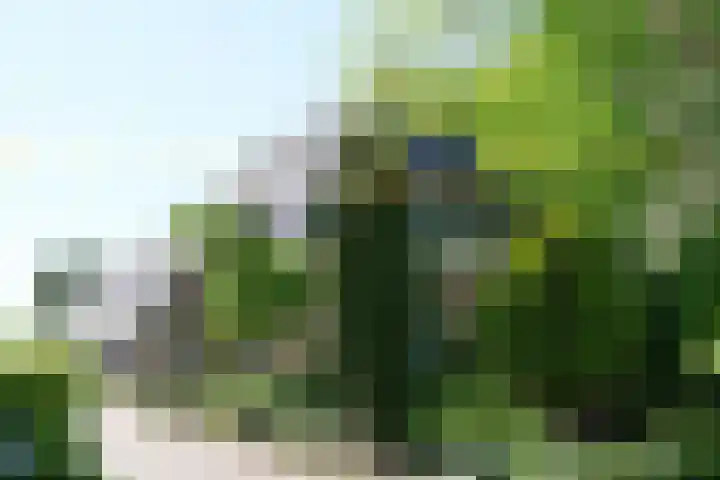 Hoofdweg 35 Burdaard thumbnail 50