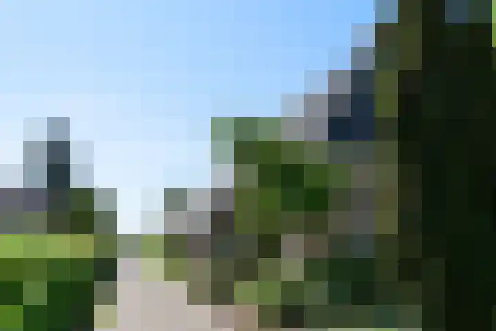 Hoofdweg 35 Burdaard thumbnail 51