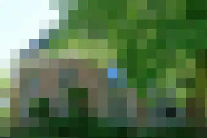 Hoofdweg 35 Burdaard thumbnail 52