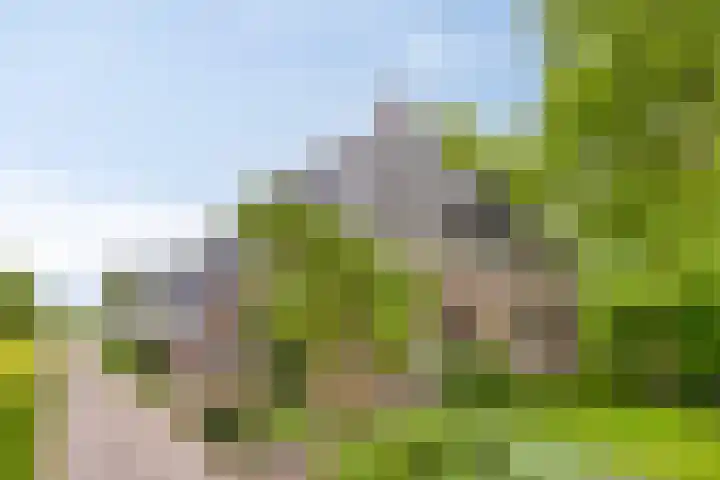 Hoofdweg 35 Burdaard thumbnail 58