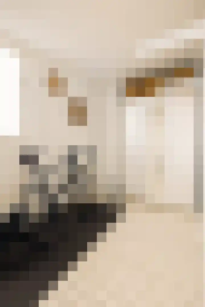 Hoofdweg 353 2 Amsterdam thumbnail 23