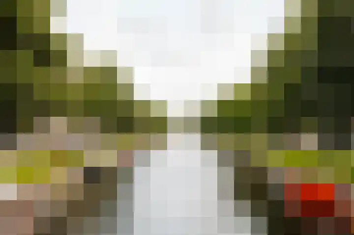 Hoofdweg 353 2 Amsterdam thumbnail 27