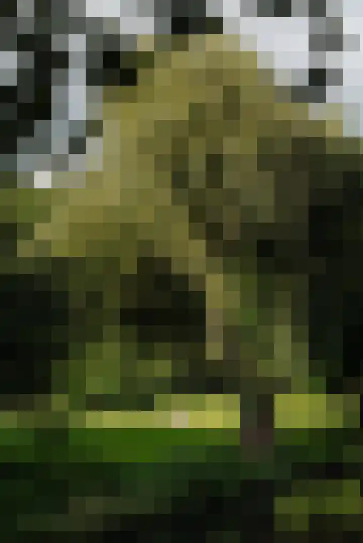 Hoofdweg 353 2 Amsterdam thumbnail 29