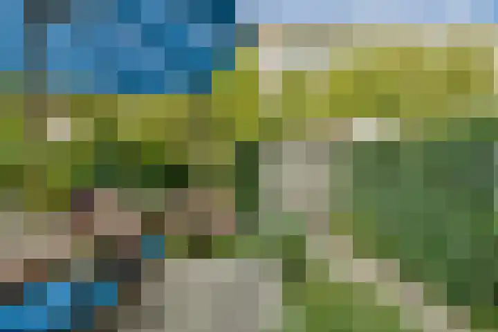Hoofdweg 353 2 Amsterdam thumbnail 6