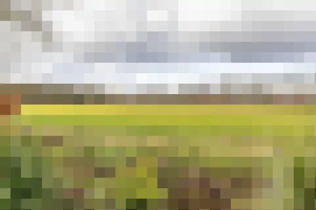 Hoofdweg 354 Paterswolde thumbnail 26