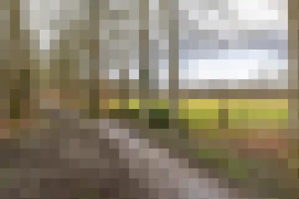 Hoofdweg 354 Paterswolde thumbnail 4