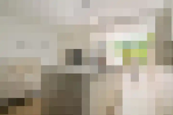 Hoofdweg 355 3 Amsterdam thumbnail 19