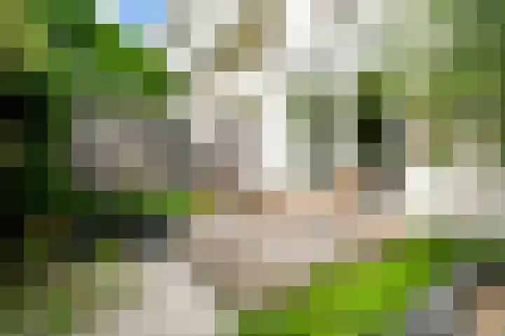 Hoofdweg 355 3 Amsterdam thumbnail 32
