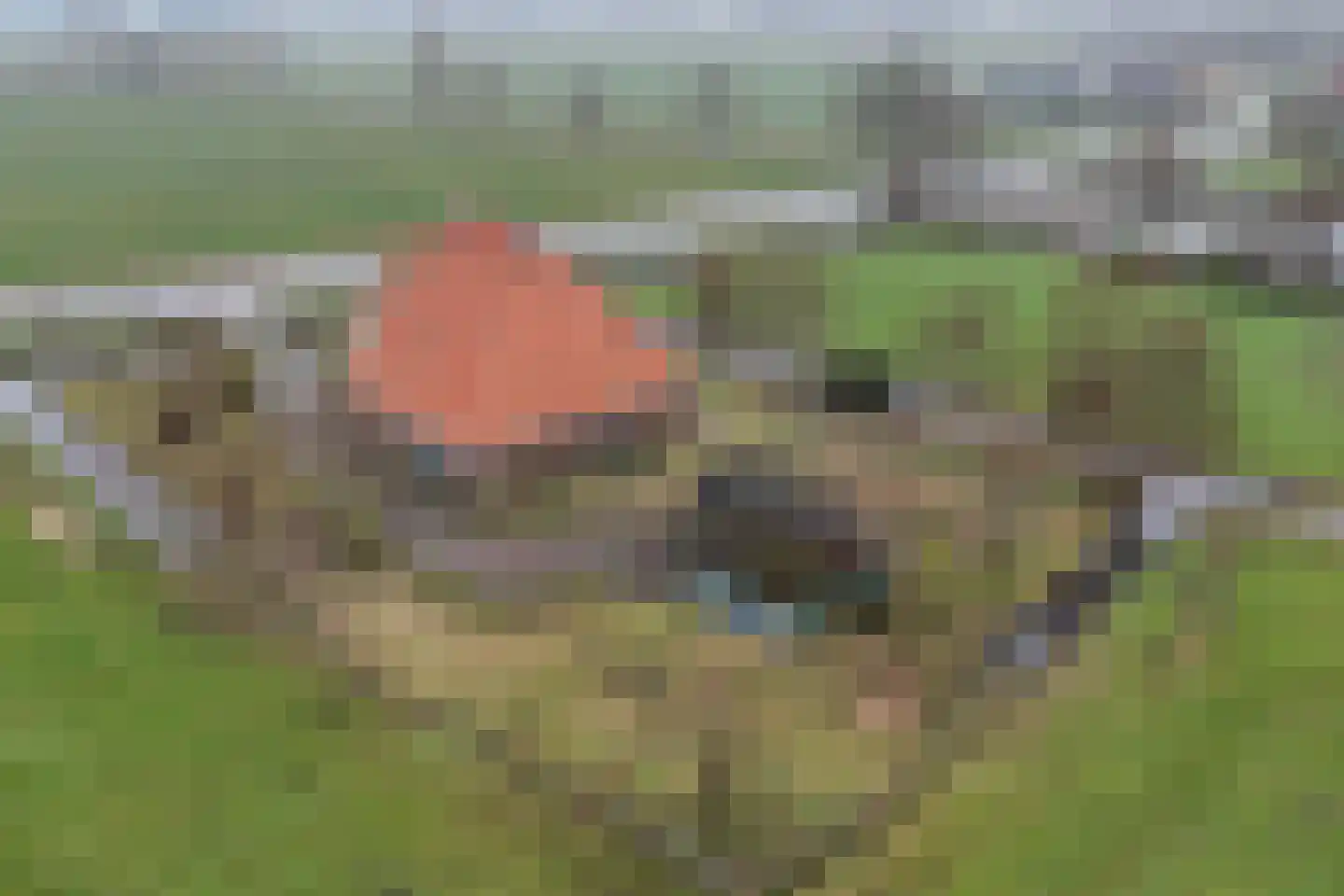 Hoofdweg 37 Echten thumbnail 38