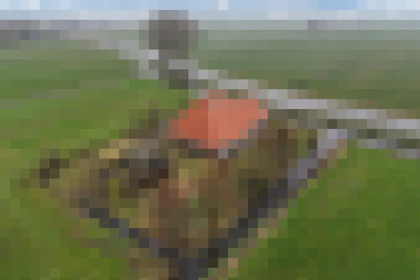 Hoofdweg 37 Echten thumbnail 39