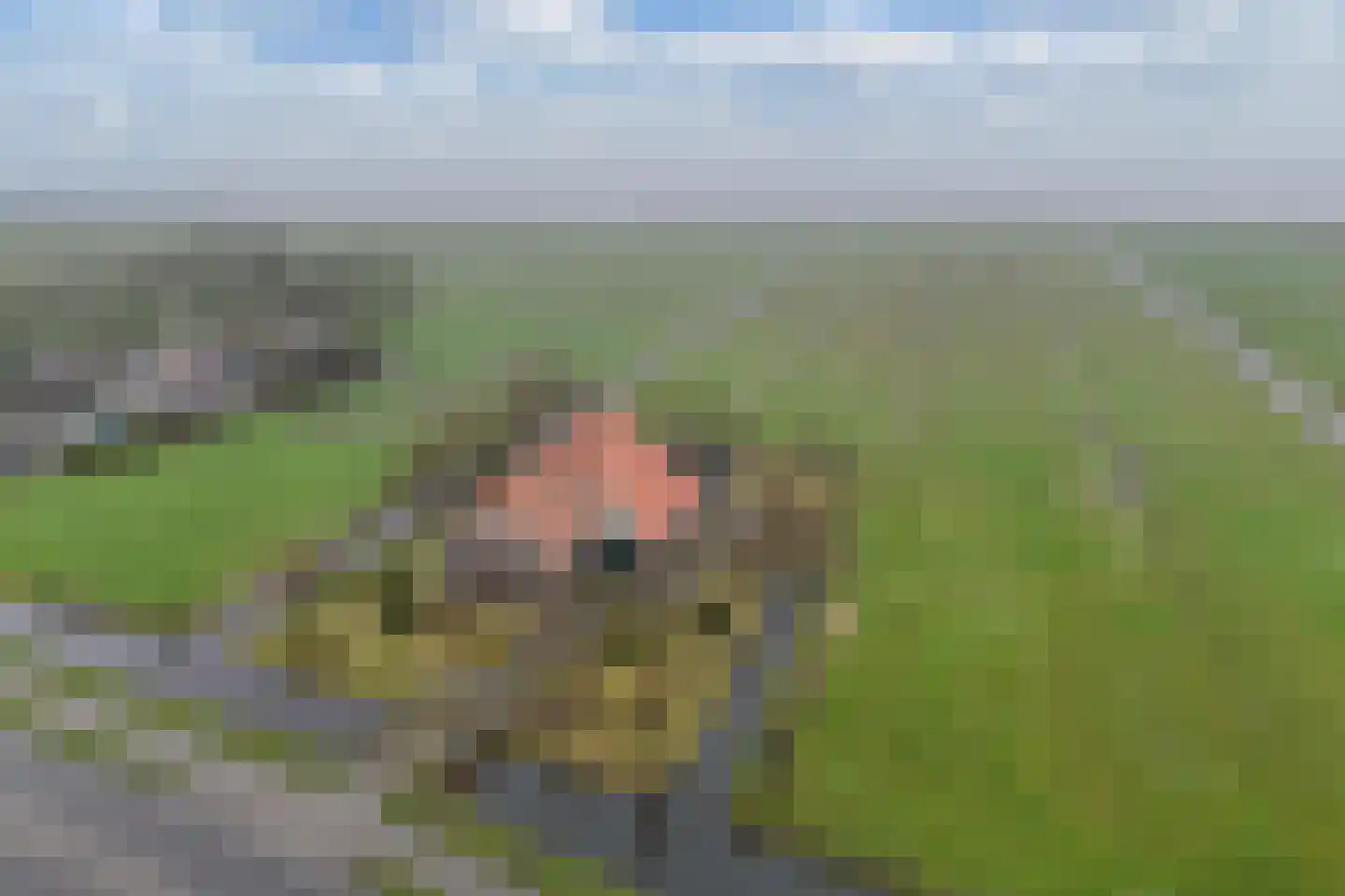 Hoofdweg 37 Echten thumbnail 40