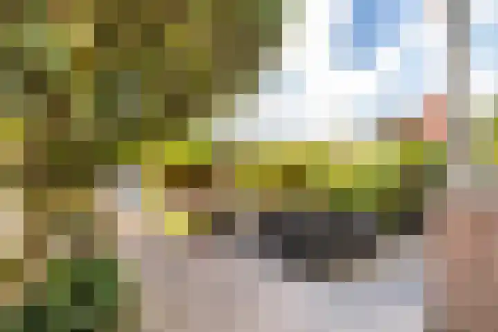 Hoofdweg 37 Lijnden thumbnail 15