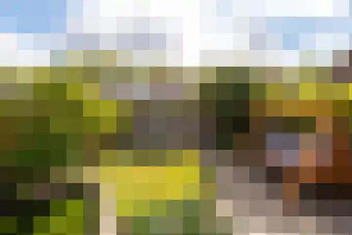 Hoofdweg 37 Lijnden thumbnail 16