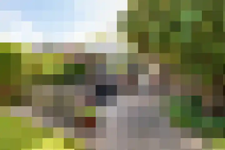 Hoofdweg 37 Lijnden thumbnail 24