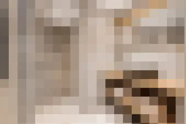 Hoofdweg 37 Lijnden thumbnail 26