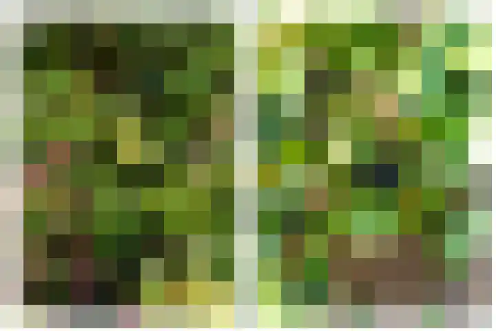 Hoofdweg 37 Lijnden thumbnail 34