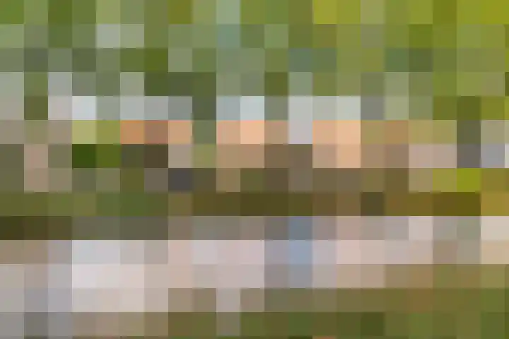 Hoofdweg 37 Lijnden thumbnail 35