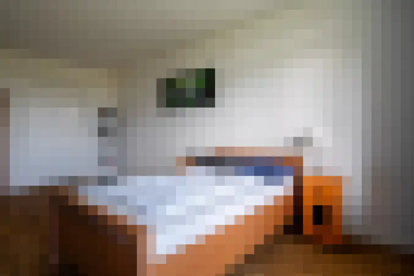 Hoofdweg 370 Paterswolde thumbnail 21