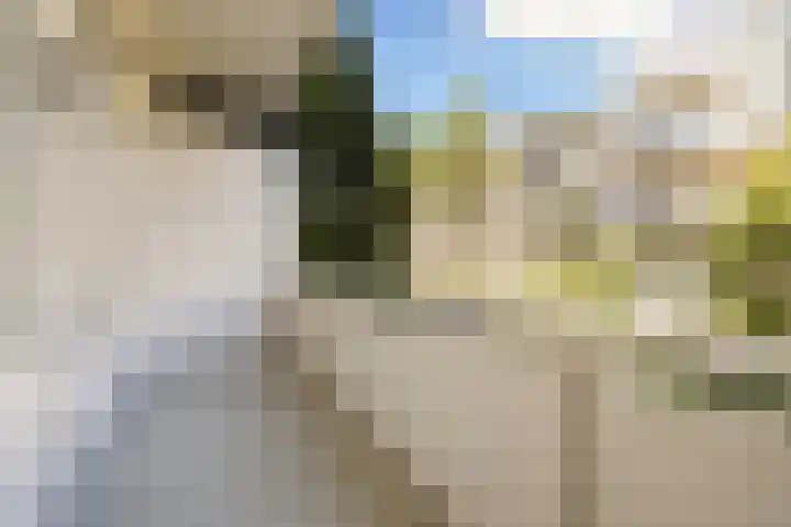 Hoofdweg 373 2 Amsterdam thumbnail 16