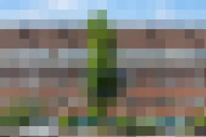 Hoofdweg 377 H Amsterdam thumbnail 21