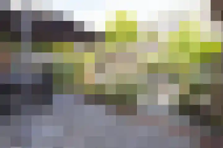 Hoofdweg 378 2 Amsterdam thumbnail 11