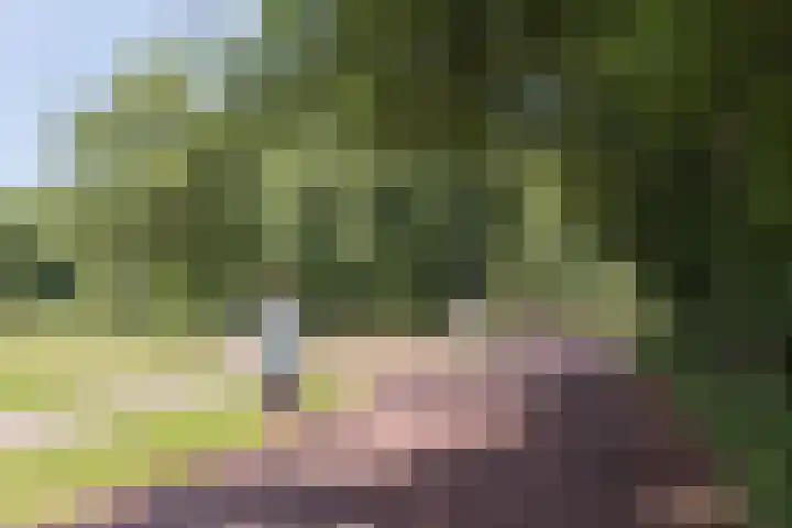 Hoofdweg 378 2 Amsterdam thumbnail 15