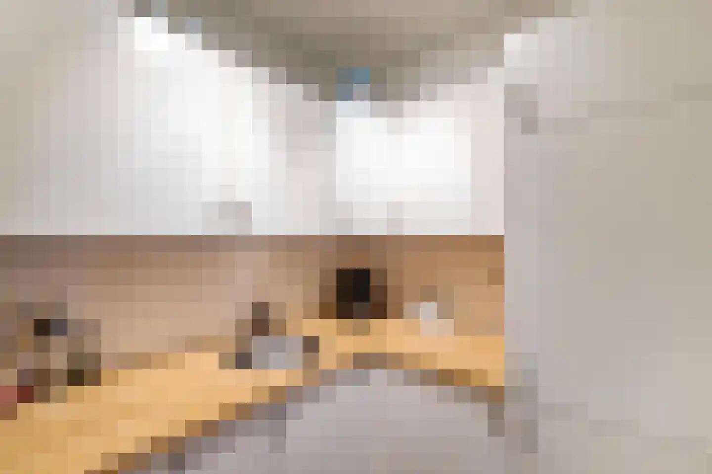Hoofdweg 382 Paterswolde thumbnail 15