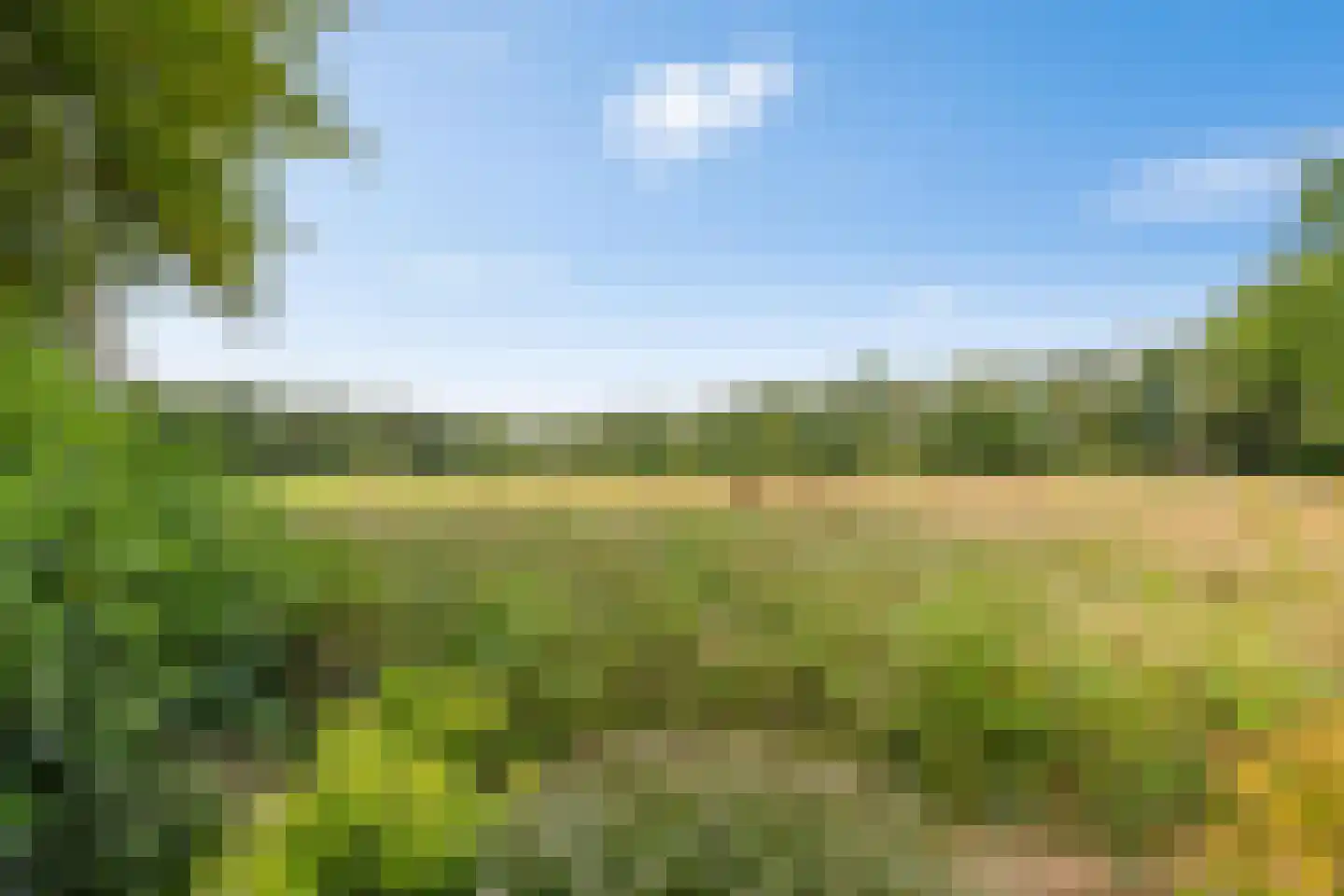Hoofdweg 382 Paterswolde thumbnail 32