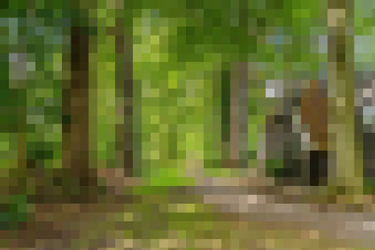 Hoofdweg 382 Paterswolde thumbnail 7