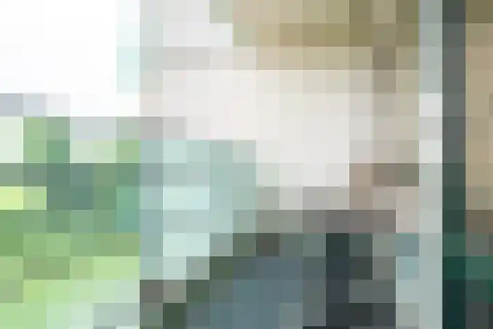 Hoofdweg 390 Paterswolde thumbnail 22