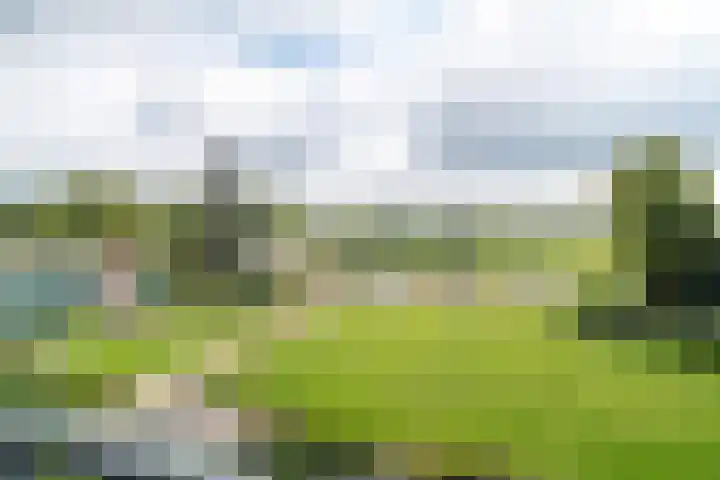 Hoofdweg 390 Paterswolde thumbnail 23