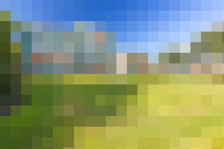 Hoofdweg 390 Paterswolde thumbnail 27