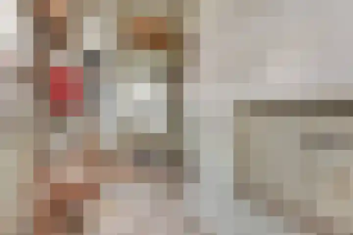 Hoofdweg 4 Huizinge thumbnail 27
