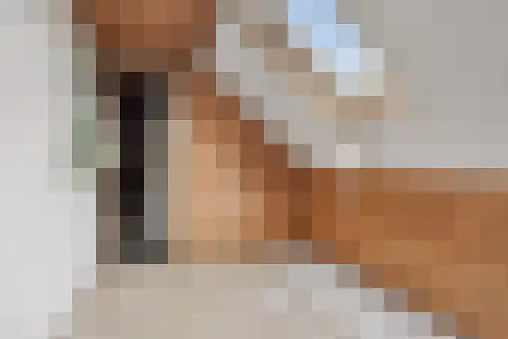 Hoofdweg 4 Huizinge thumbnail 39
