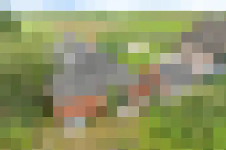 Hoofdweg 4 Huizinge thumbnail 4