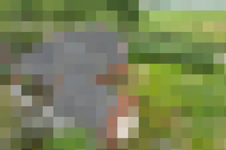 Hoofdweg 4 Huizinge thumbnail 5