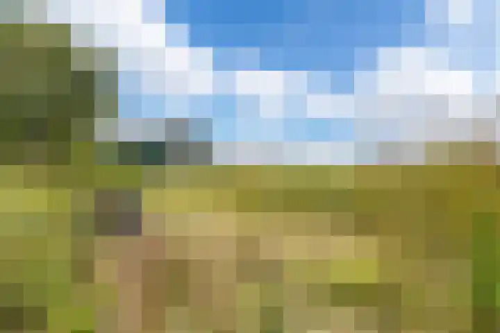 Hoofdweg 4 Huizinge thumbnail 52