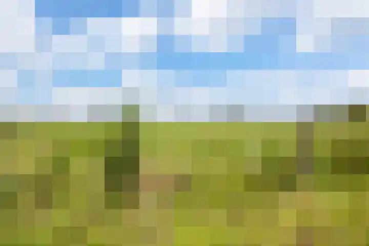 Hoofdweg 4 Huizinge thumbnail 53