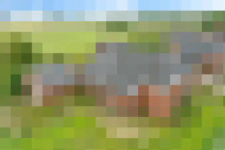 Hoofdweg 4 Huizinge thumbnail 6