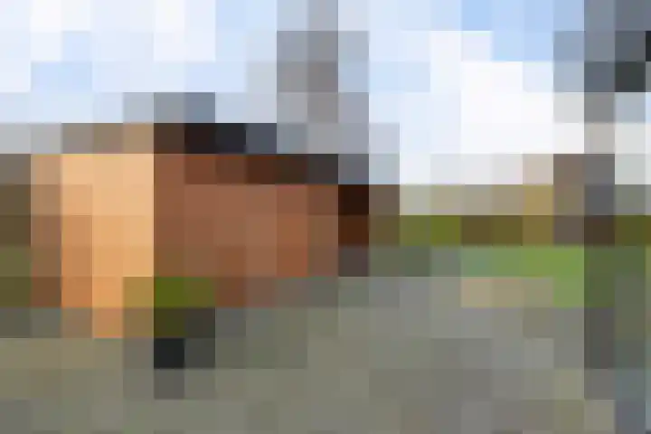 Hoofdweg 41 Echtenerbrug thumbnail 38