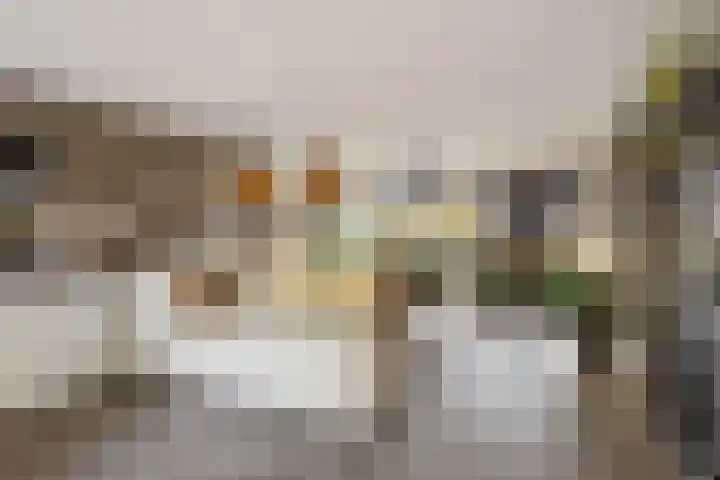 Hoofdweg 41 Echtenerbrug thumbnail 6
