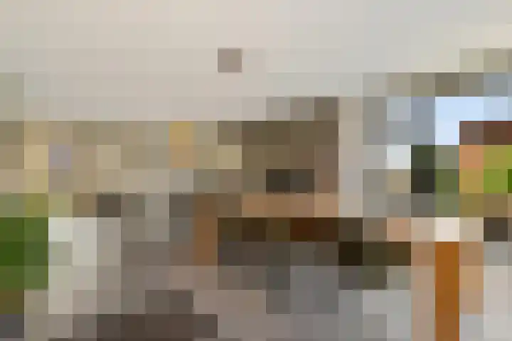 Hoofdweg 41 Echtenerbrug thumbnail 8